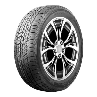 Autogreen Snow Chaser AW02 245/55 R19 103T